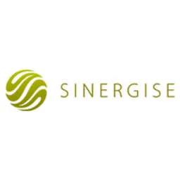 Sinergise logo