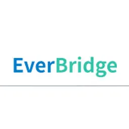 Bridgetech Logo