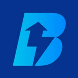 Bizzi logo