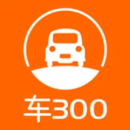 Che300 logo
