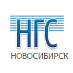 NGS.ru logo