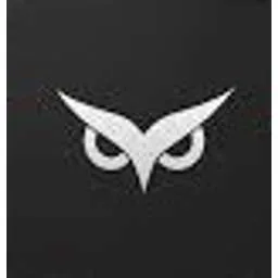 Owlity AI logo