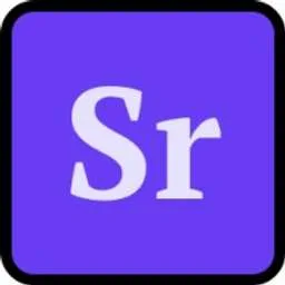 Saltroad logo