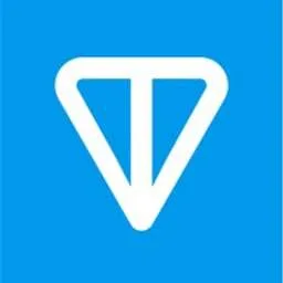 TON logo