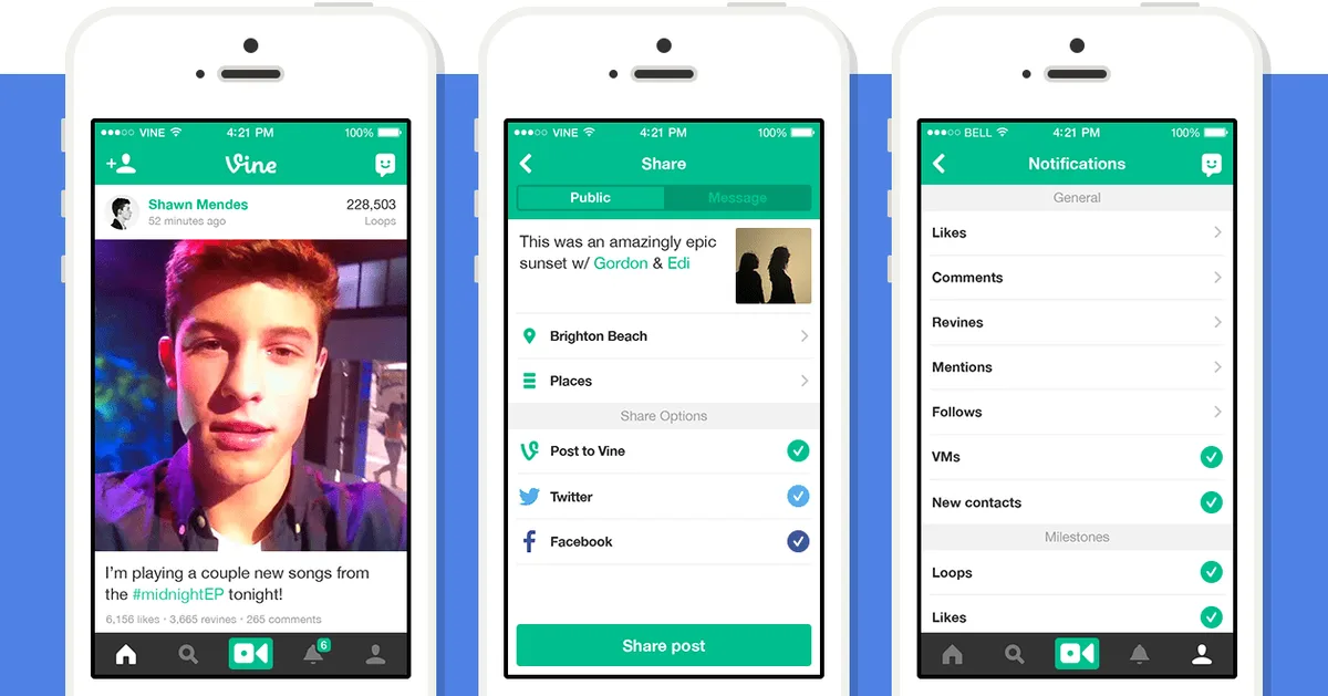 Vine