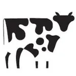 Copper Cow Coffee