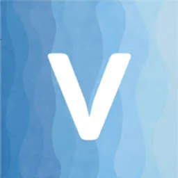 Venturi Partners logo