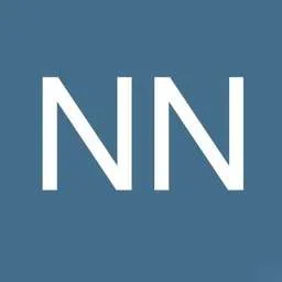 Neuronostics logo