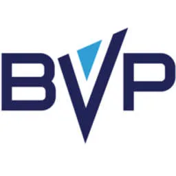 Brand Velocity Partners logo