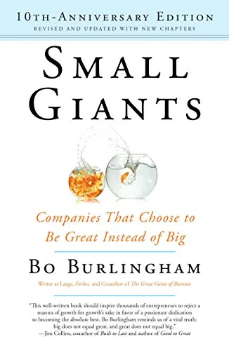 Best audio books for entrepreneurs #1: Small Giants