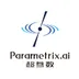 Parametrix.ai logo