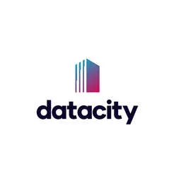 The Data City Logo