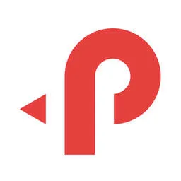 Paynet logo