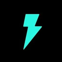 Flink logo