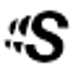 Supersonik logo