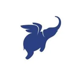 BANA Angels logo
