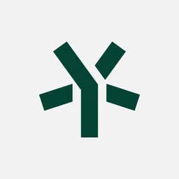 5Y Capital logo