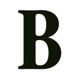 Brain Co. Logo