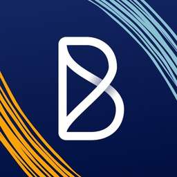 Blink logo