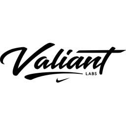 Nike Valiant Labs Logo