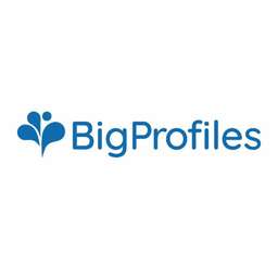 BigProfiles logo