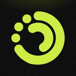 pictor.network logo