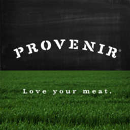 Provenir logo