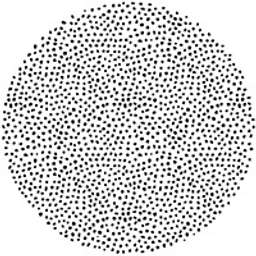 Singular Logo